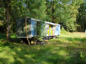 Dilapidated "Bienenwagen" in Forest