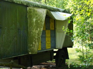 Dilapidated "Bienenwagen" in Forest - 2
